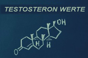 Testosteron Werte