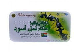 Africa black ant King