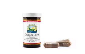 Cordyceps