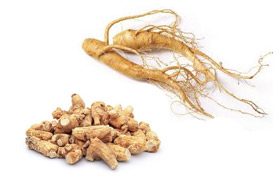 Ingwer Ginseng Impotenz