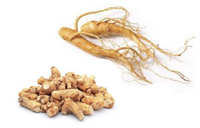 Ingwer Ginseng Impotenz