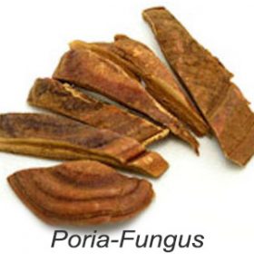 Poria Fungus