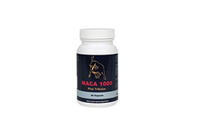 Maca